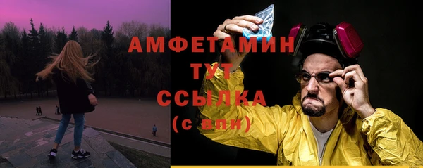 прущие грибы Новодвинск