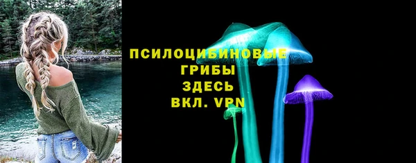 стафф Няндома