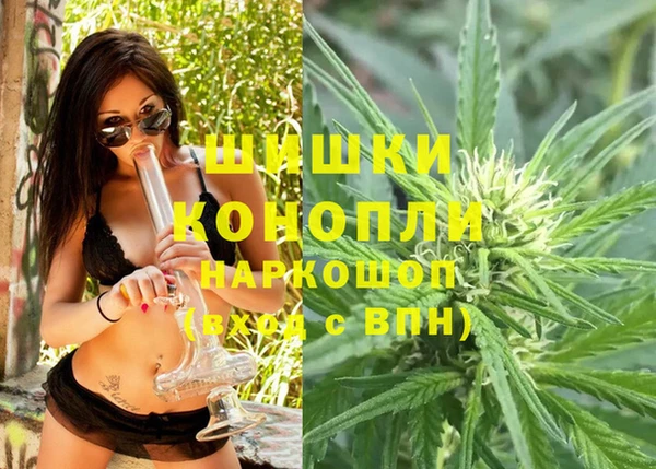 стафф Няндома