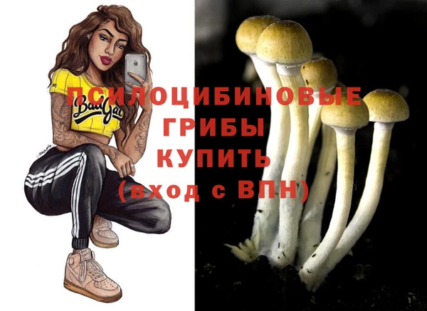 прущие грибы Новодвинск