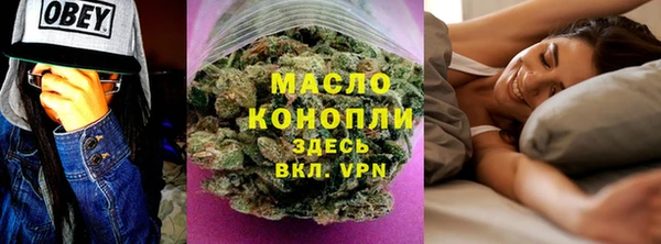 прущие грибы Новодвинск