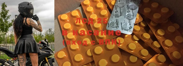 ГАЛЛЮЦИНОГЕННЫЕ ГРИБЫ Нягань