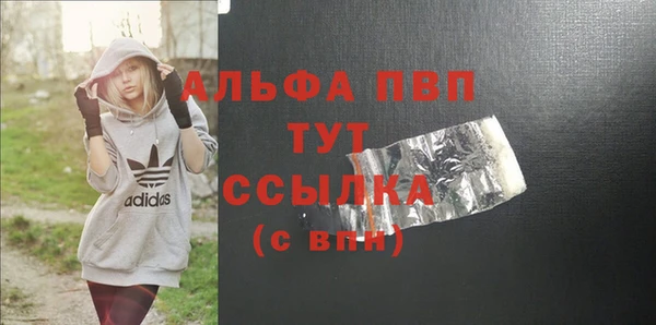 стафф Осташков