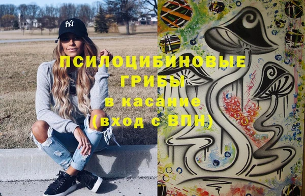 стафф Няндома