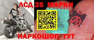 шишки Донской