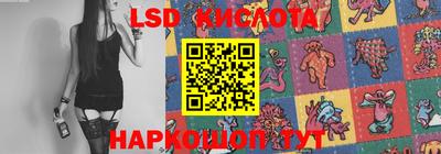 шишки Донской