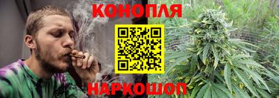 шишки Донской