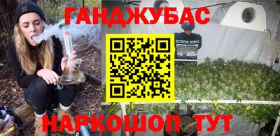 гашик Гусь-Хрустальный