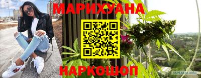 шишки Донской