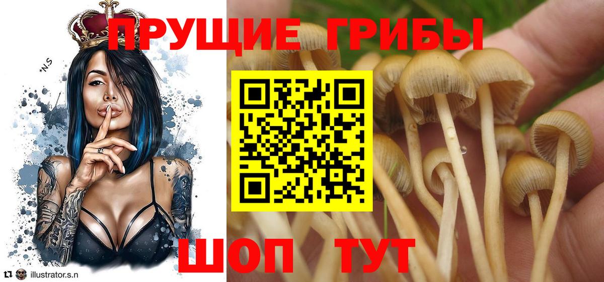 Муравленко  Псилоцибиновые грибы ЛСД  Псилоцибиновые грибы прущие грибы  Вход с VPN 