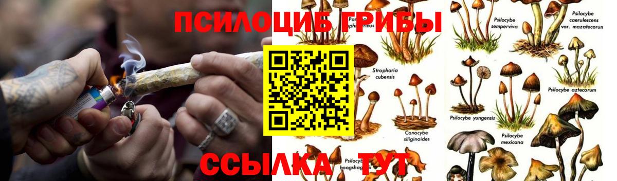 Галлюциногенные грибы Magic Shrooms  Муравленко 